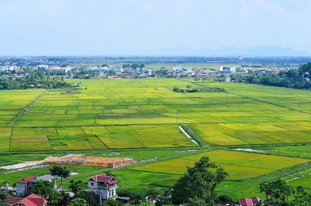 Cho phép gia hạn sử dụng đất, chuyển mục đích sử dụng đất tại 148 Giảng Võ