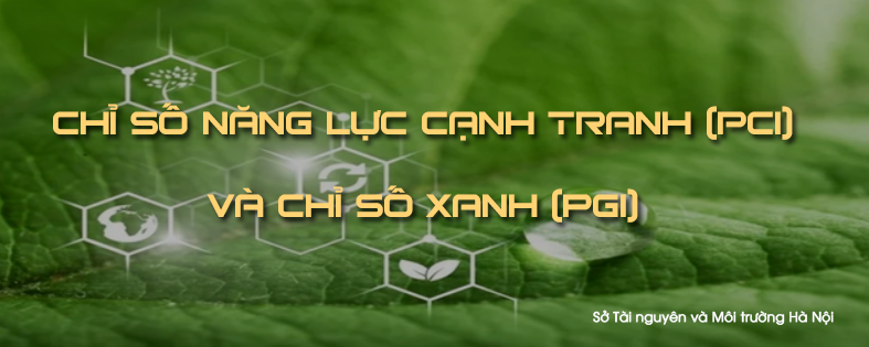 Chỉ số năng lực cạnh tranh PGI